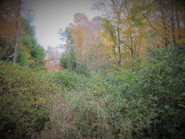 88 Whipperwill Hill Road Gap Mills, WV 24941 - Photo 57 of 68 Gallery Image 57