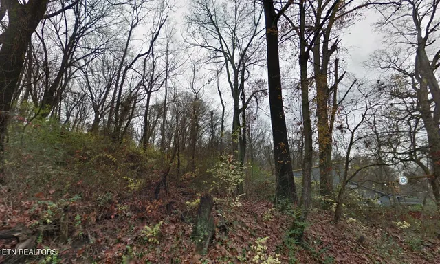 $50,000 | 1320 Massachusetts Avenue, Knoxville, TN 37921