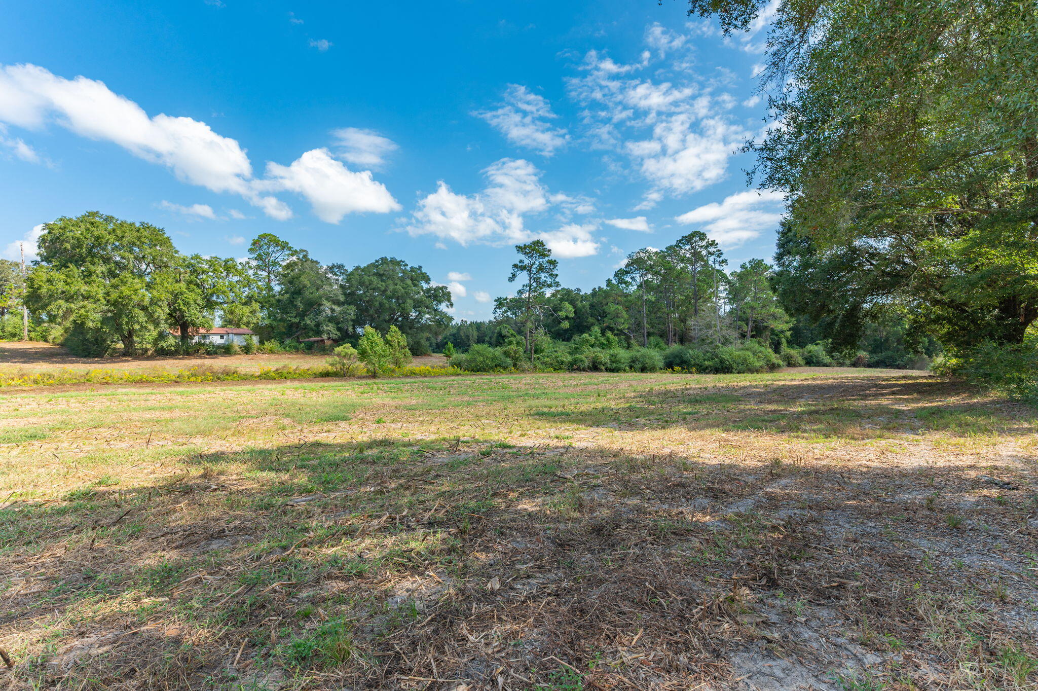 5.65-acre Prescott Road Florala, AL 36442 - Photo 30 of 36 89-web-or-mls-1950-prescott-rd