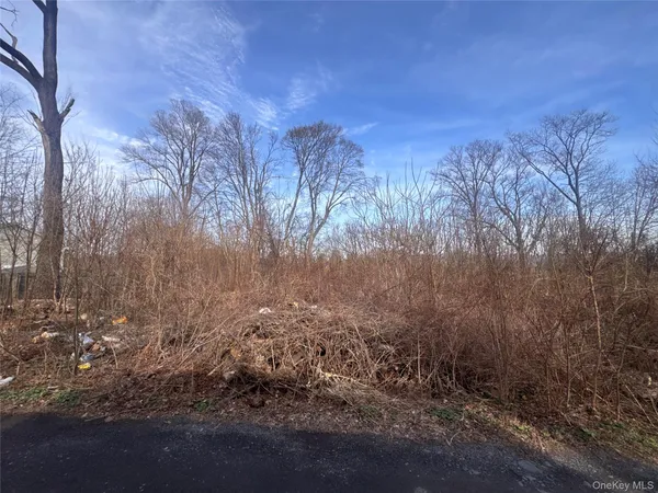 $120,000 | 121 Robinson Avenue, Newburgh, NY 12550