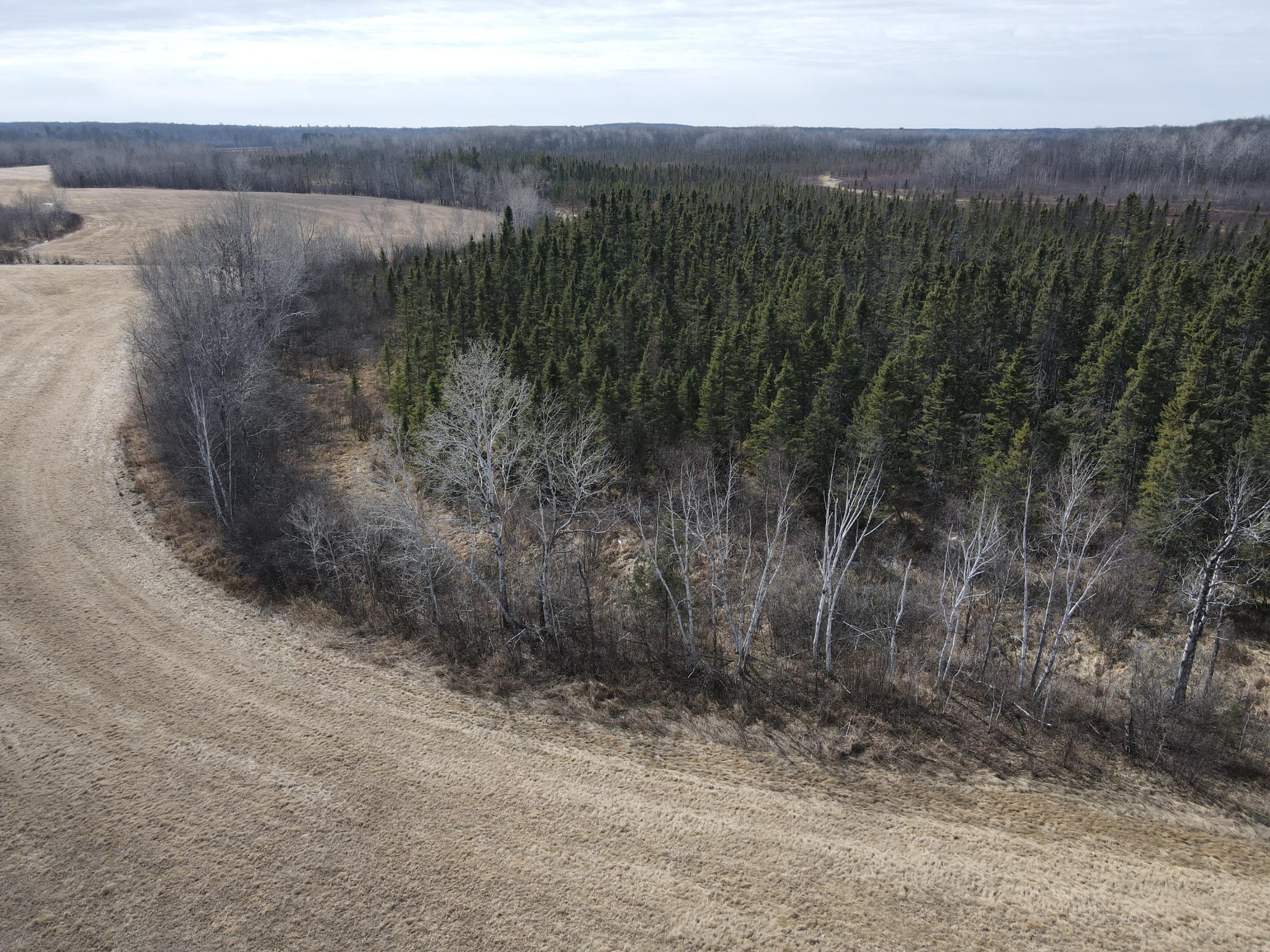 23 Highway 23 Bruno, MN 55712 - Photo 14 of 20