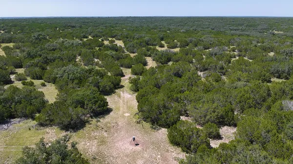 a view of a lake with a forest