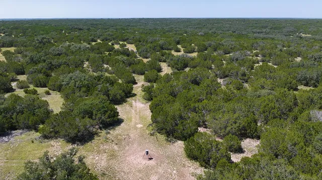 a view of a lake with a forest