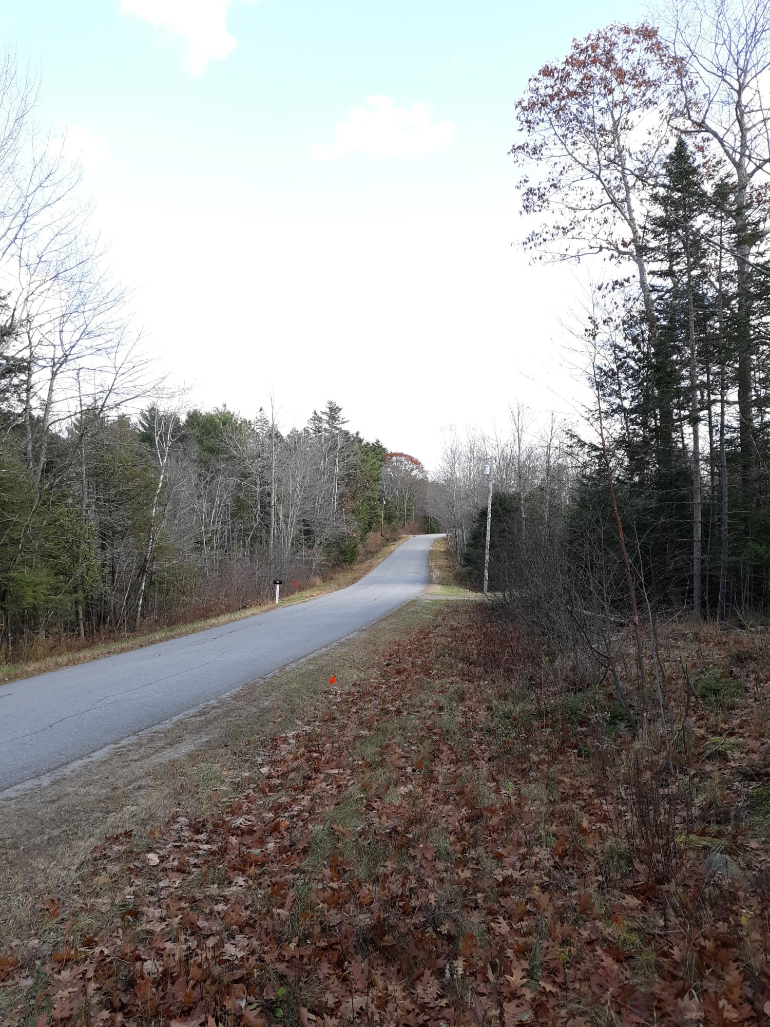 0 Greeley Road Freedom, ME 04941 - Photo 8 of 8 20191103_123203