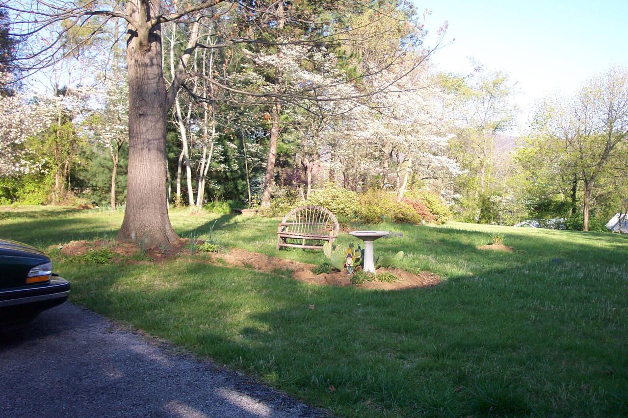 1021 Clearfield Road Southwest Roanoke, VA 24015 - Photo 3 of 14 LANDSCAPING