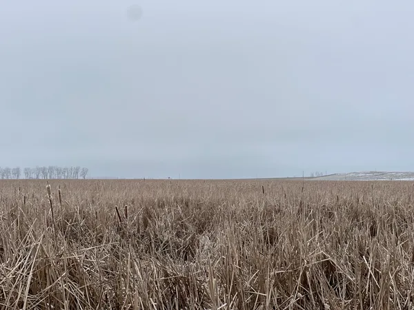 $209,000 | 11 Litchville Nd 58461, Litchville, ND 58461