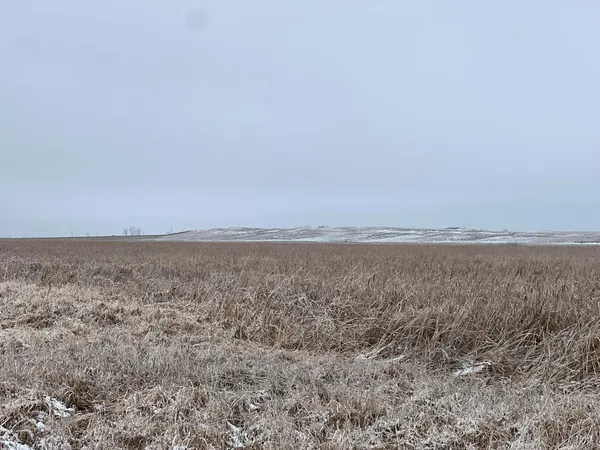 $209,000 | 11 Litchville Nd 58461, Litchville, ND 58461