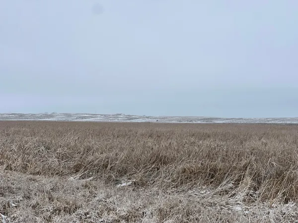 $209,000 | 11 Litchville Nd 58461, Litchville, ND 58461