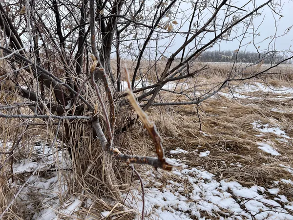 $209,000 | 11 Litchville Nd 58461, Litchville, ND 58461