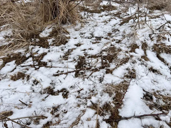 $209,000 | 11 Litchville Nd 58461, Litchville, ND 58461