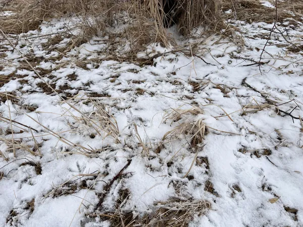 $209,000 | 11 Litchville Nd 58461, Litchville, ND 58461