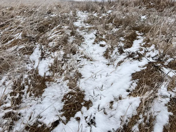 $209,000 | 11 Litchville Nd 58461, Litchville, ND 58461