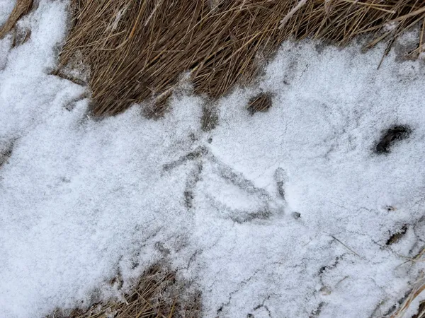 $209,000 | 11 Litchville Nd 58461, Litchville, ND 58461