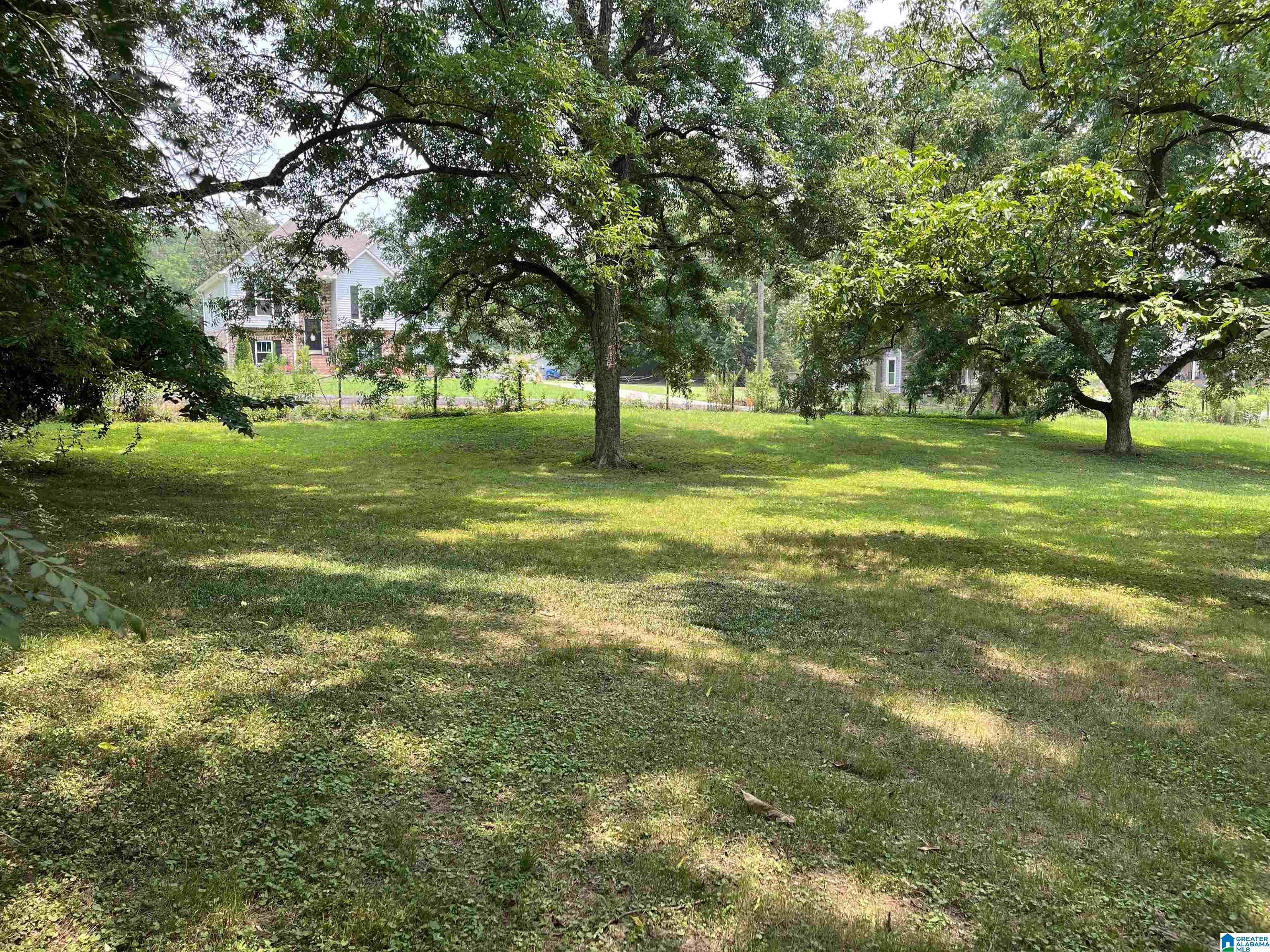 8309 2nd Avenue Morris, AL 35116 - Photo 11 of 49