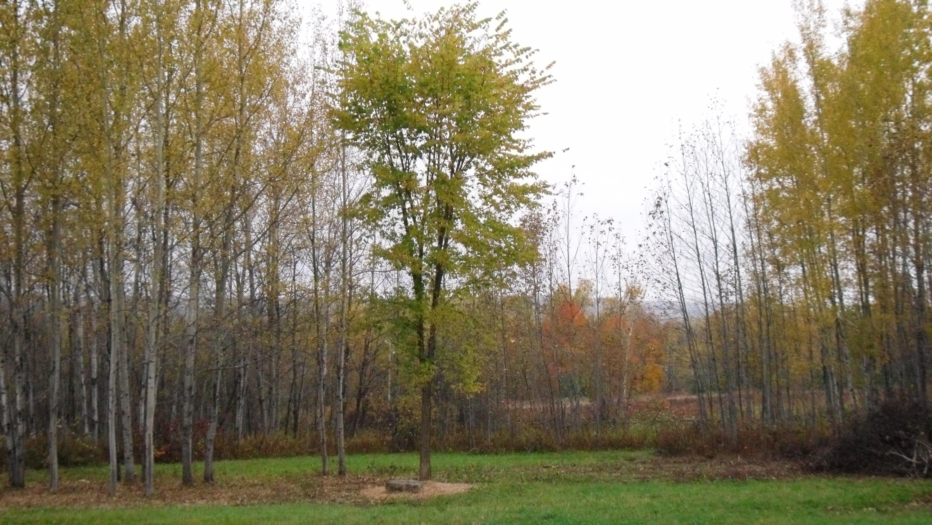 24 Campground Road Caribou, ME 04736 - Photo 36 of 41 2015 298