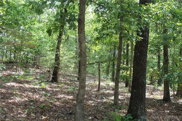 $129,900 | 24560 Highway 135, Versailles, MO 65084