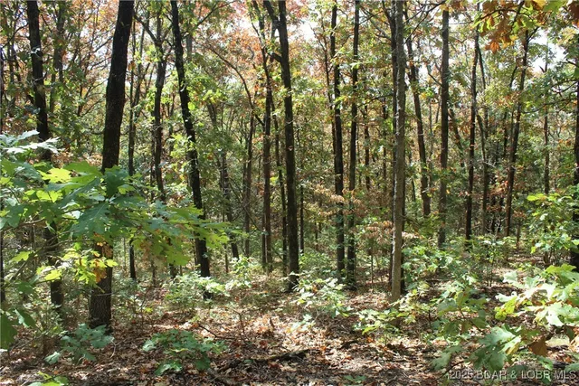 $129,900 | 24560 Highway 135, Versailles, MO 65084