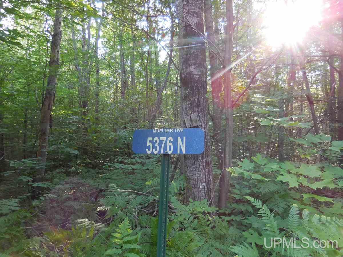 Tbd Tee Lake Road Germfask, MI 49836 - Photo 5 of 25