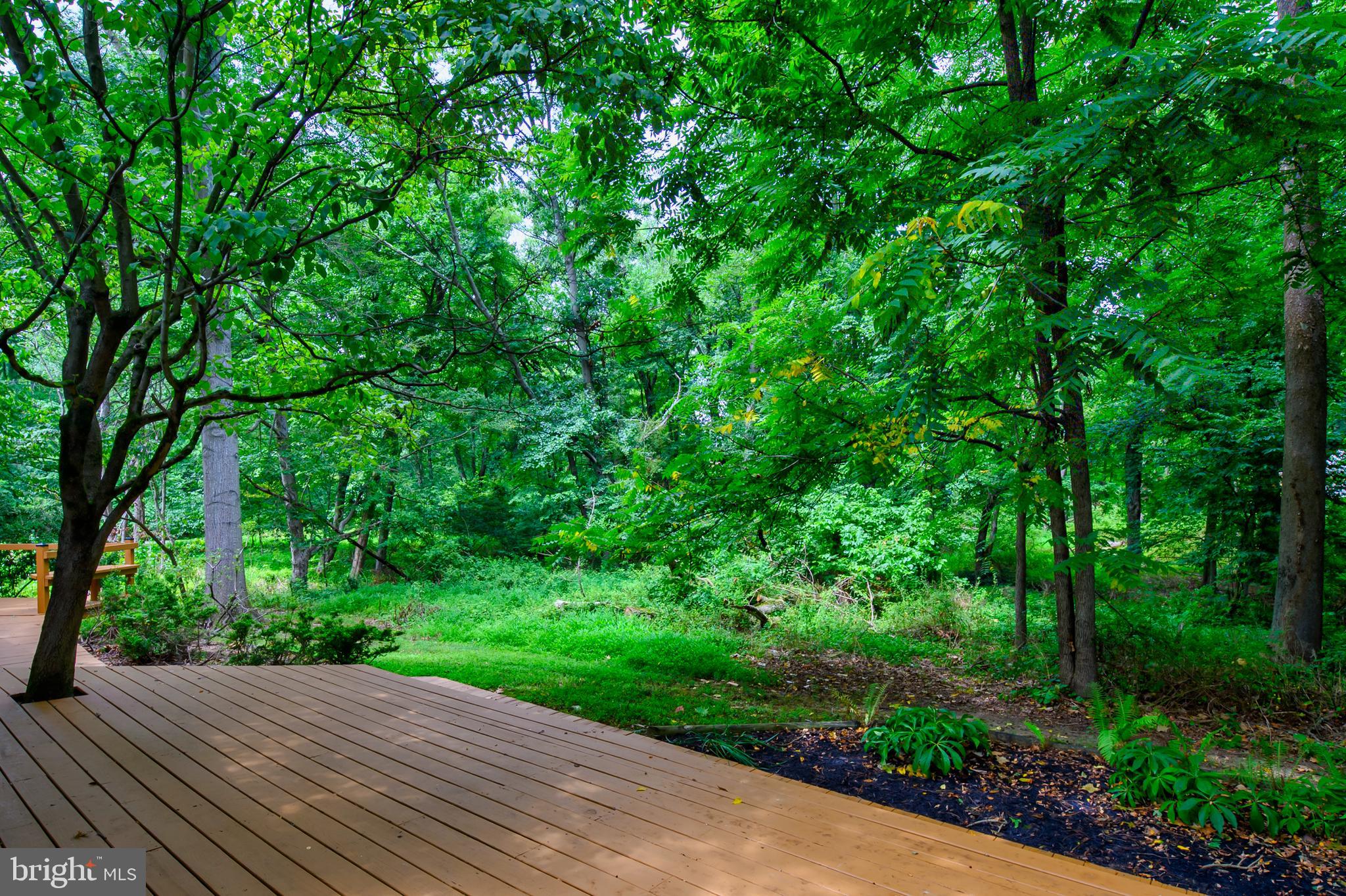 6344 Sunny Spring Columbia, MD 21044 - Photo 29 of 36 Back Deck
