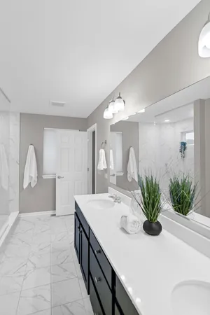 a bathroom with a sink a mirror and a potted plant