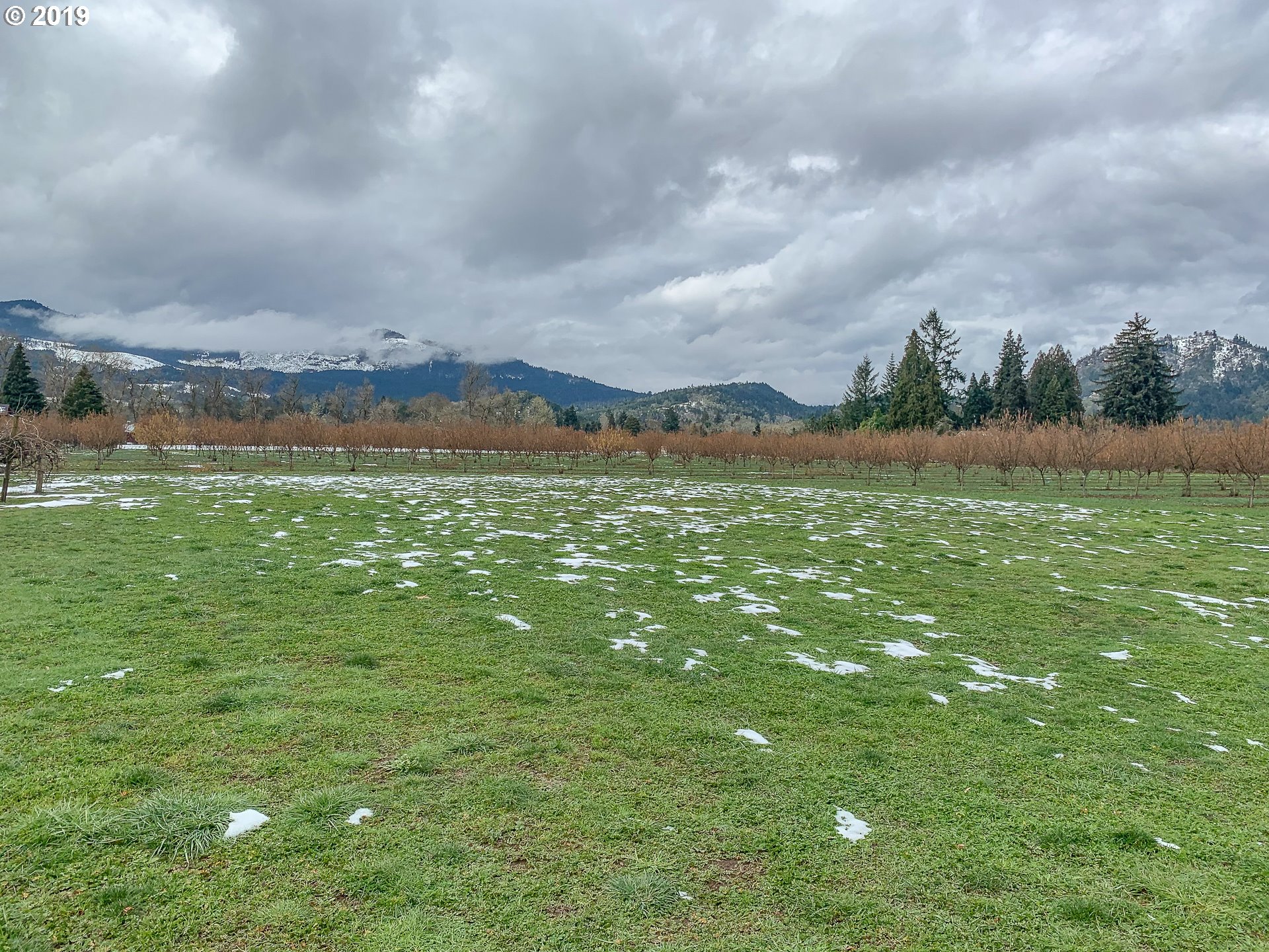 695 Cleveland Rapids Road Roseburg, OR 97471 - Photo 21 of 32 Gallery Image 21