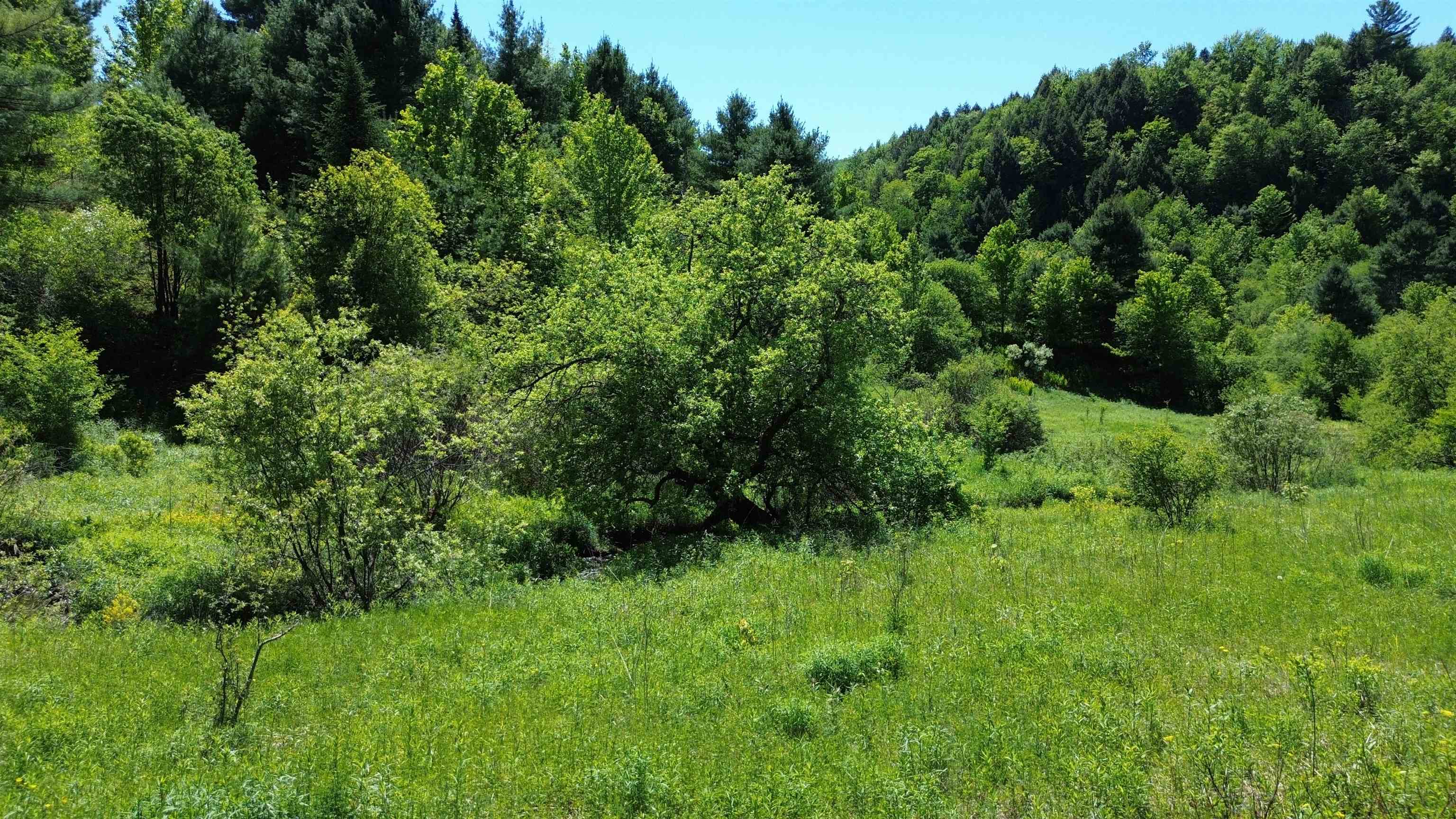 Lot 0 Darling Road Morristown, VT 05661 - Photo 6 of 9