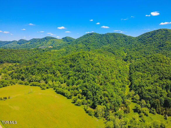Tbd Clinch Mountain Road Lebanon, VA 24266 - Photo 2 of 12 IMG_4749