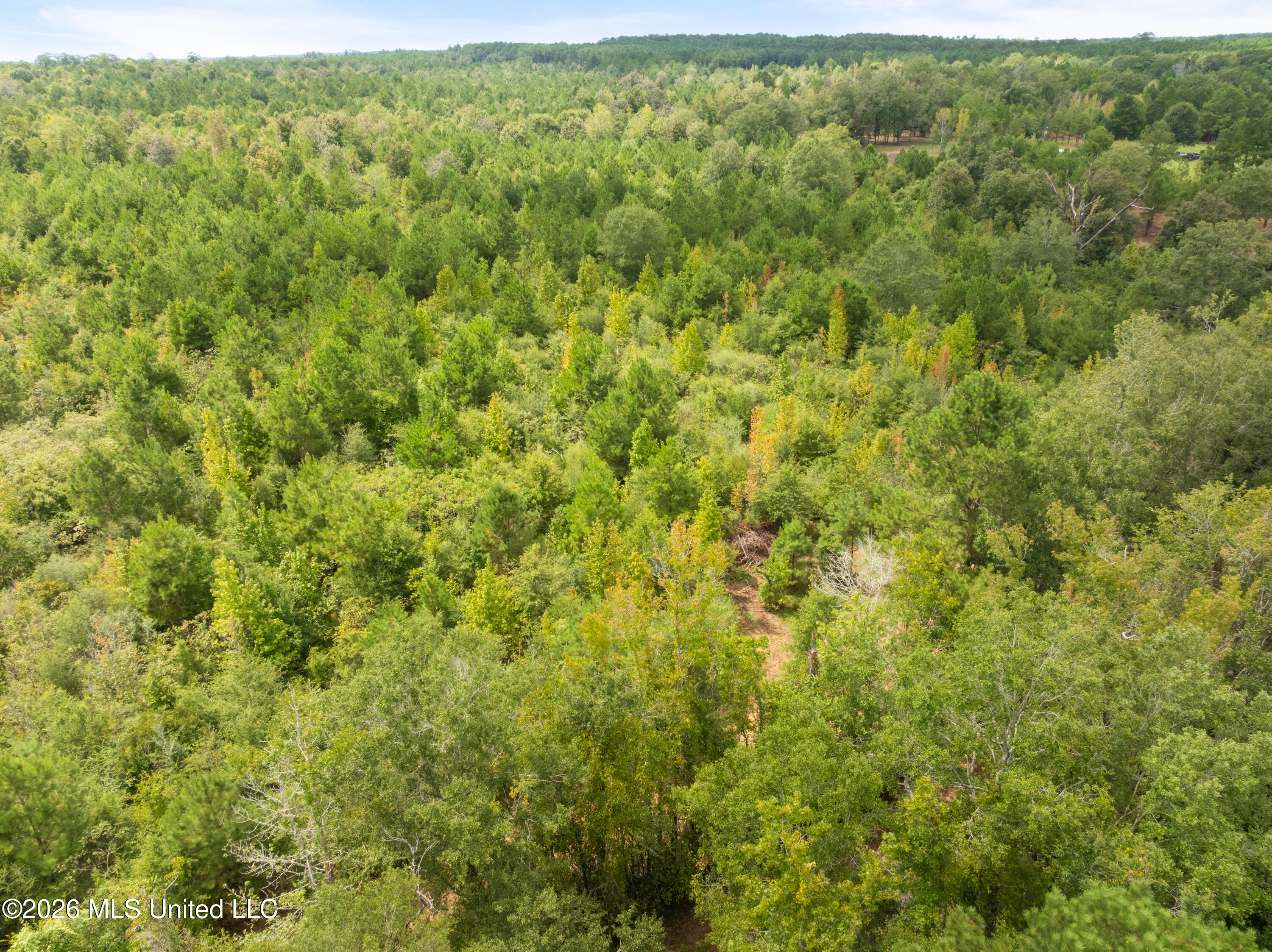 2705 Pilgrims Rest Road Magnolia, MS 39652 - Photo 58 of 68 2629_Pilgrims_Rest_Rd_Lot_3-16