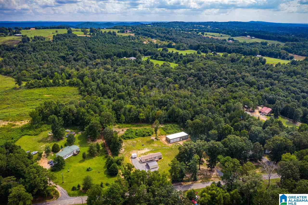 2900 Wilson Chapel Road Altoona, AL 35952 - Photo 42 of 50
