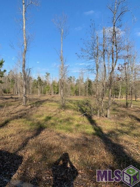 X7 Nesom Road Clinton, LA 70722 - Photo 2 of 8 Gallery Image 2