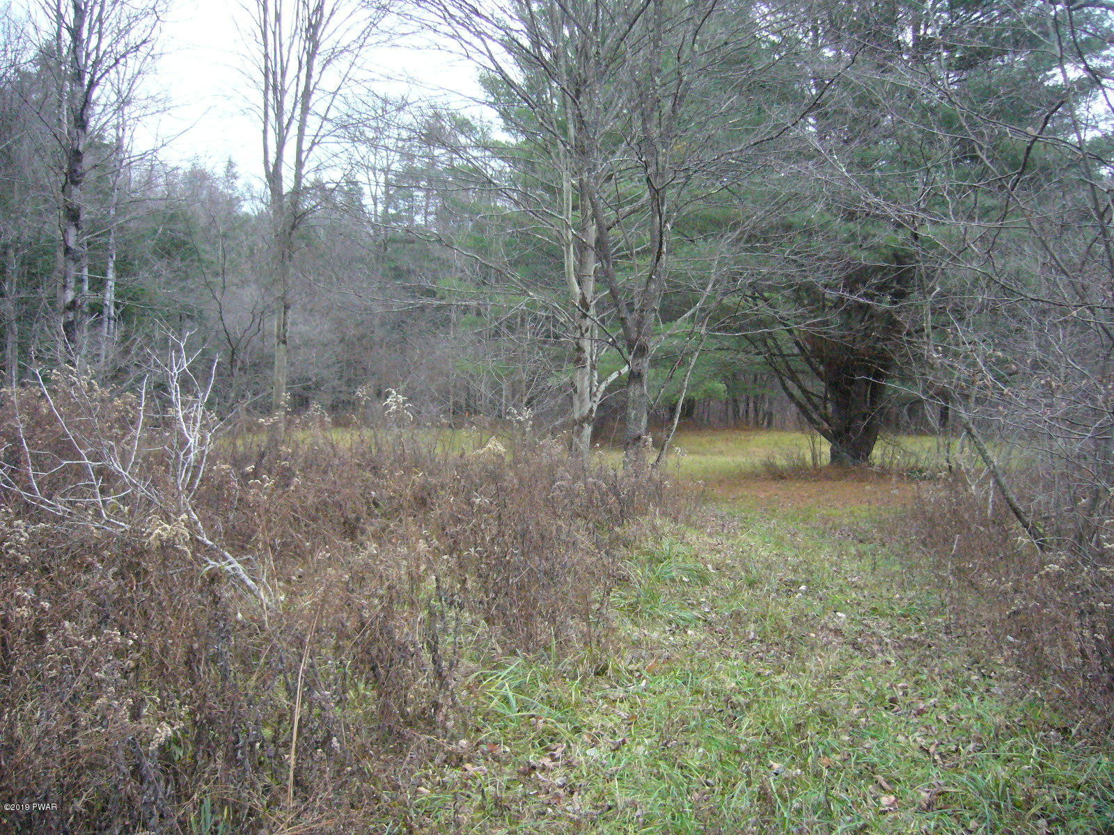 Simpson Road Lakewood, PA 18439 - Photo 2 of 14