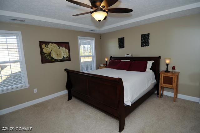 115 Manchester Road Havelock, NC 28532 - Photo 8 of 13 MASTER BEDROOM