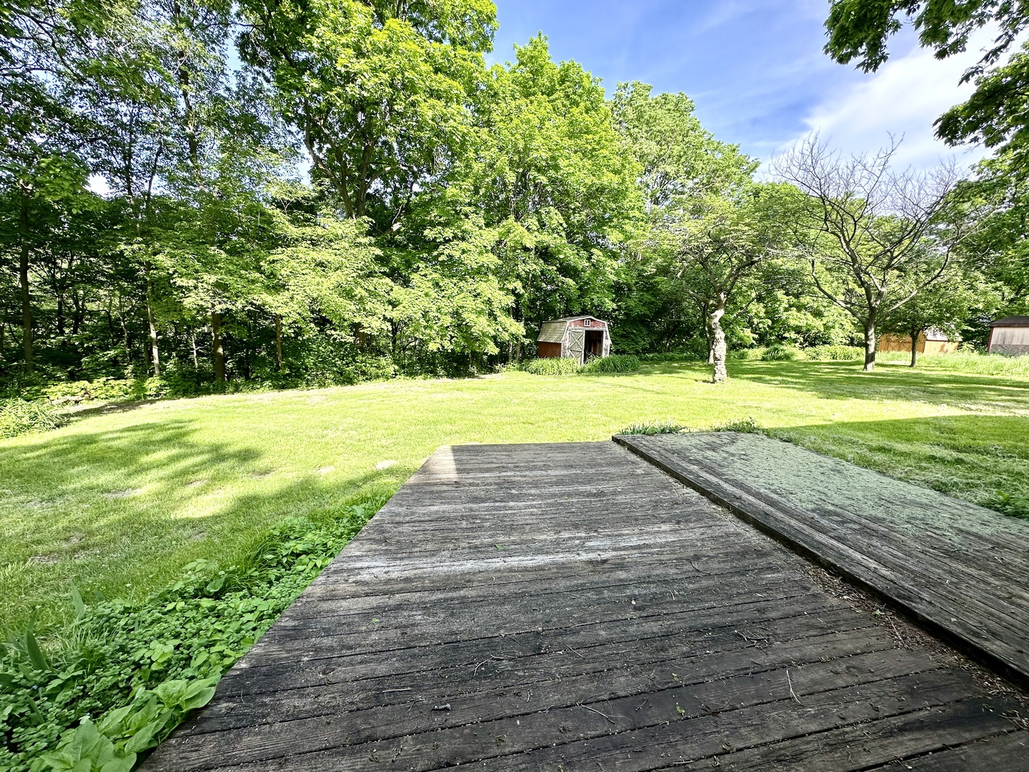 1453 North 2401st Road Ottawa, IL 61350 - Photo 23 of 26 a view of a backyard with large trees