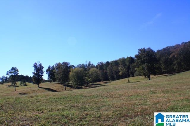 1785 Nunnally Lake Road Ohatchee, AL 36271 - Photo 32 of 50
