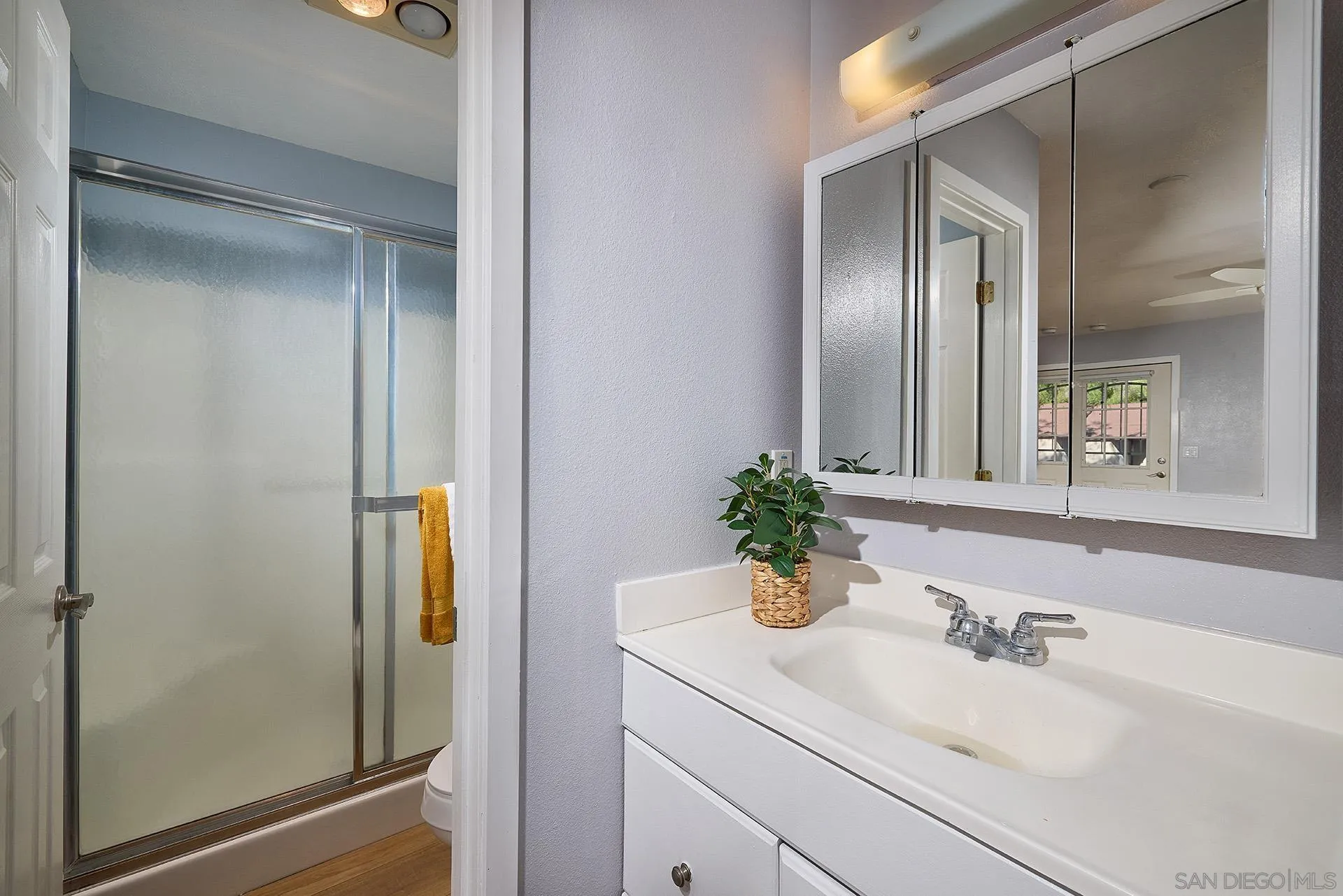 6185 Alpine Boulevard Alpine, CA 91901 - Photo 33 of 39 a bathroom with a sink and a mirror