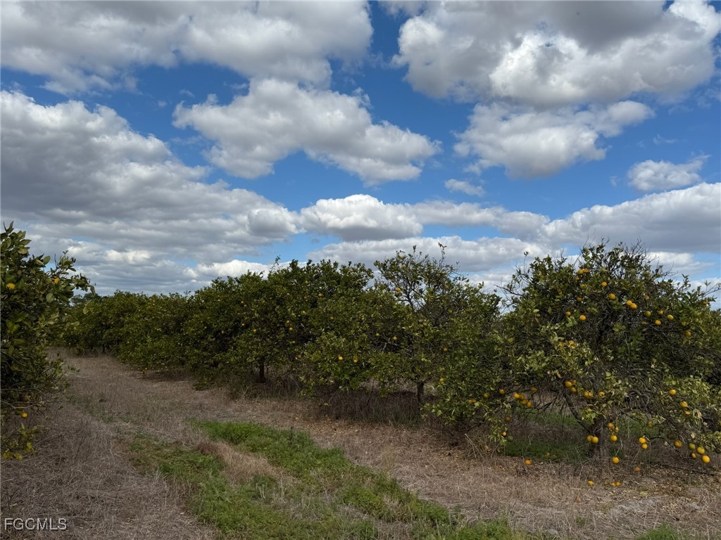 6380-6340 6th Road LaBelle, FL 33935 - Photo 5 of 9 a view of a city with green space