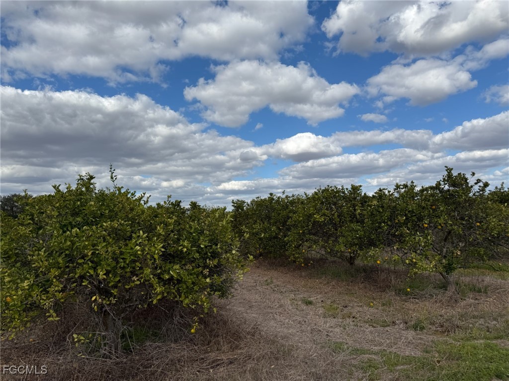 6380-6340 6th Road LaBelle, FL 33935 - Photo 6 of 9 a view of a pathway both side of green field