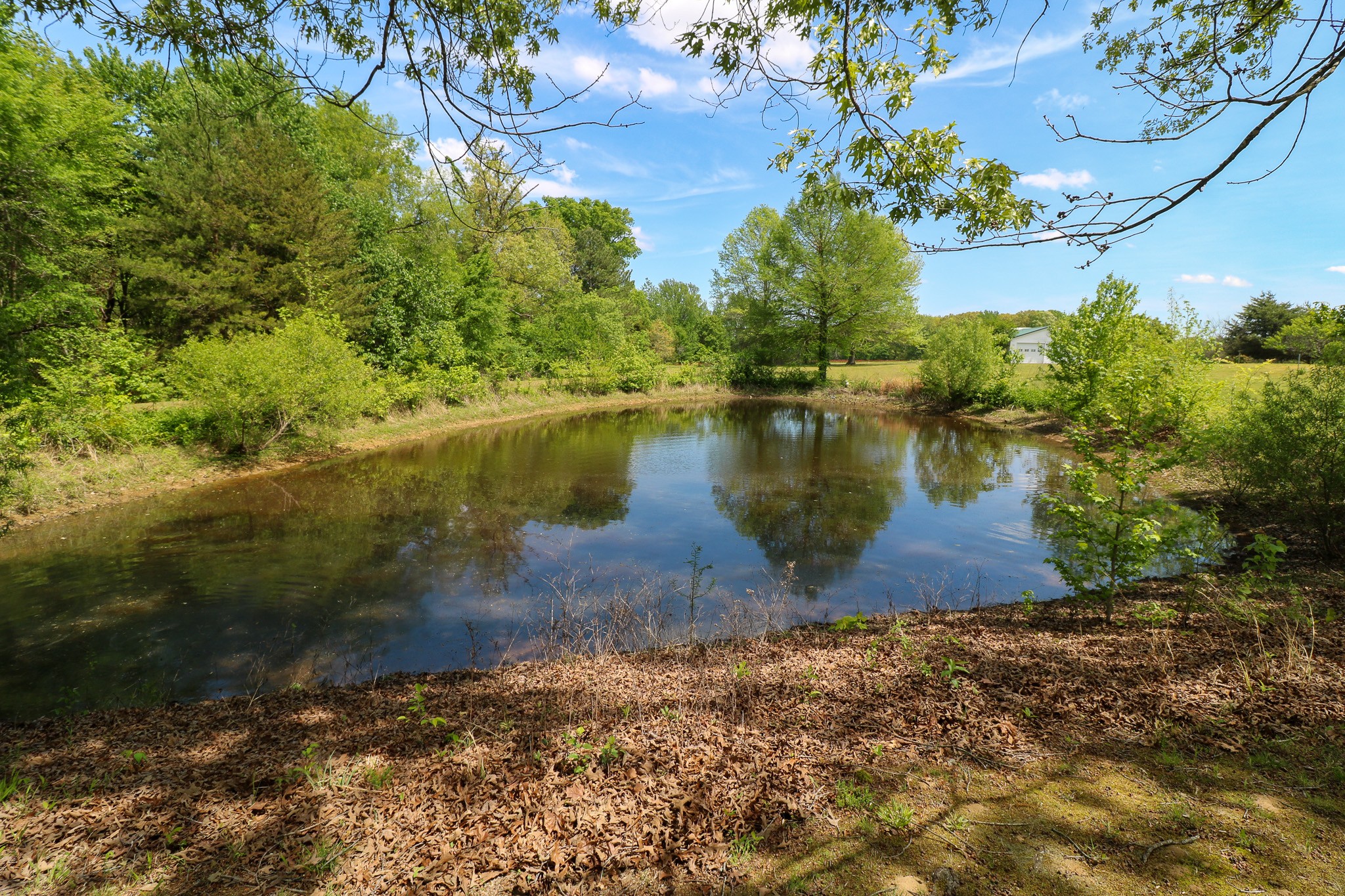 11450 McIllwain Road Holladay, TN 38341 - Photo 40 of 47