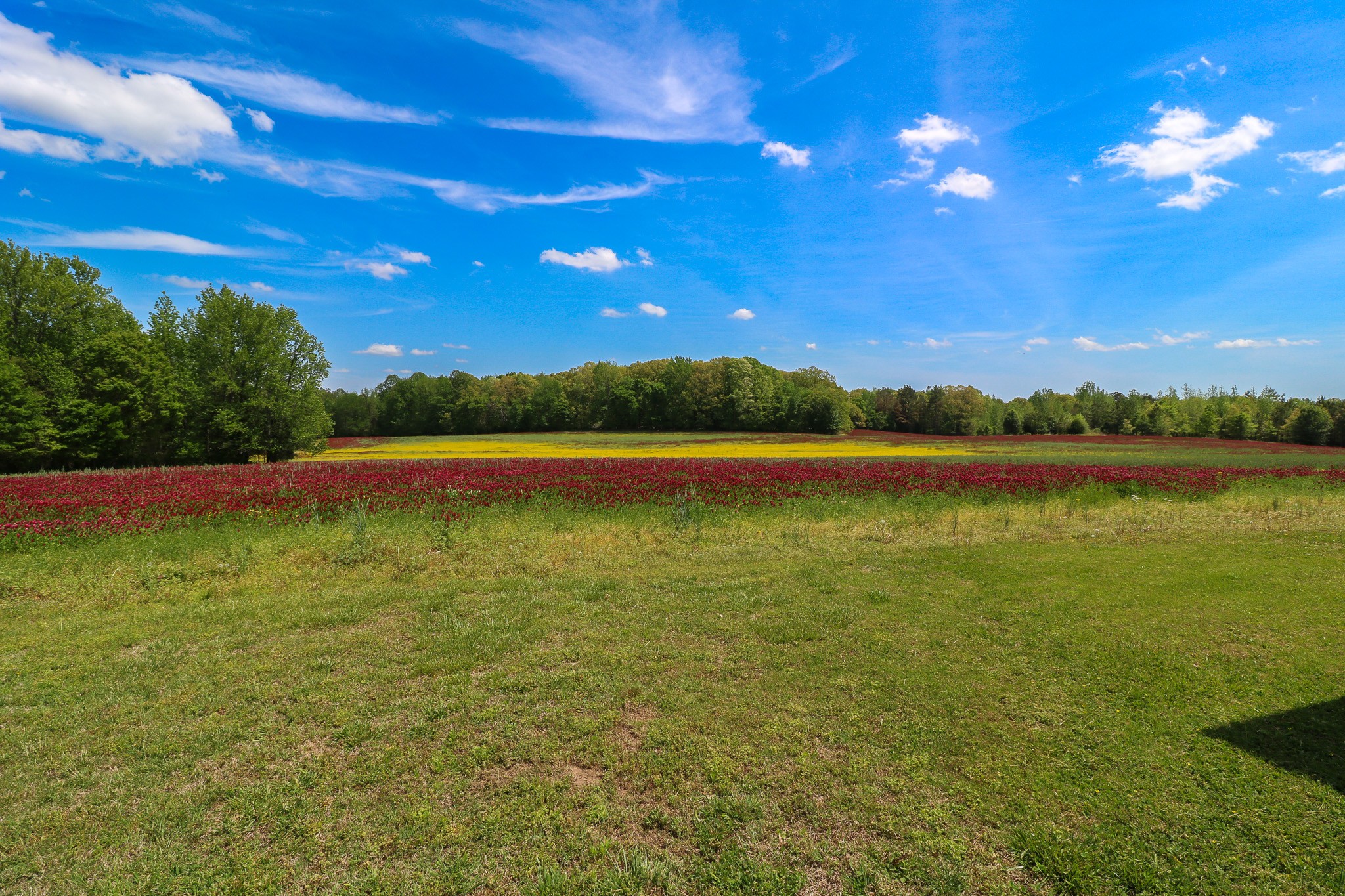 11450 McIllwain Road Holladay, TN 38341 - Photo 8 of 47