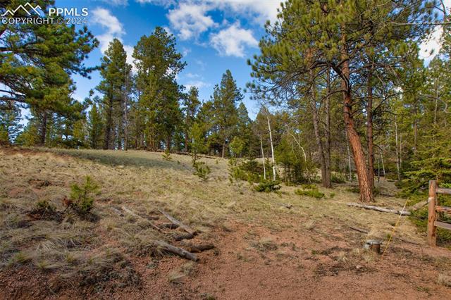 398 Pinewood Road Florissant, CO 80816 - Photo 40 of 43 View of mother earth's splendor
