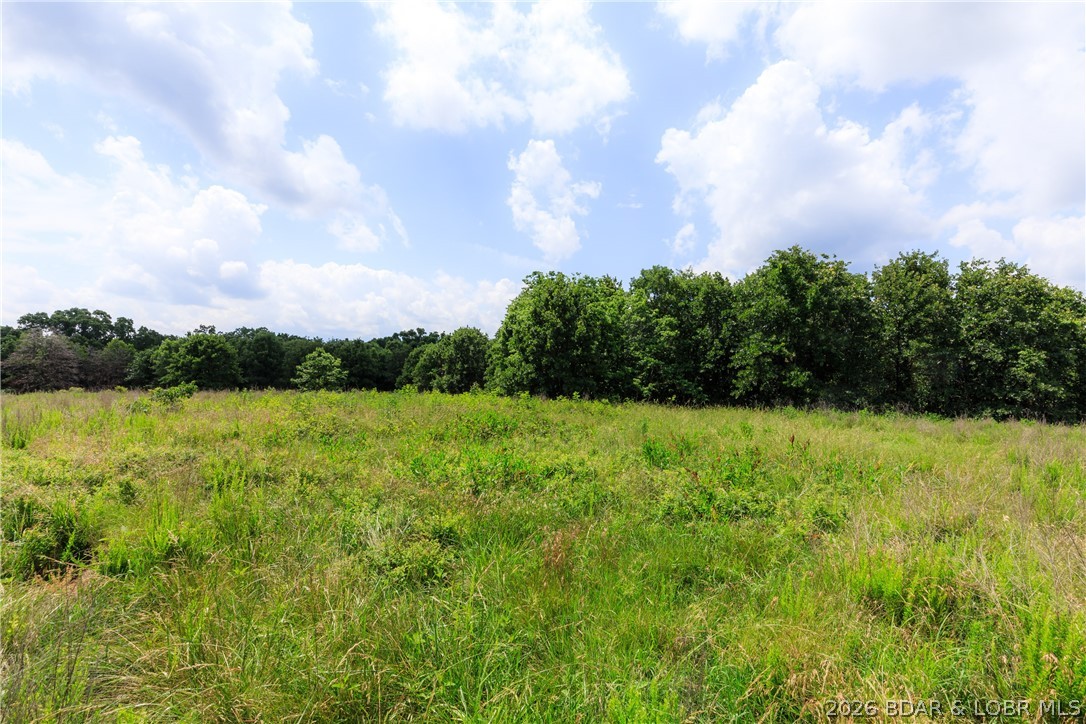 400 Hidden Acres Road Camdenton, MO 65020 - Photo 6 of 39