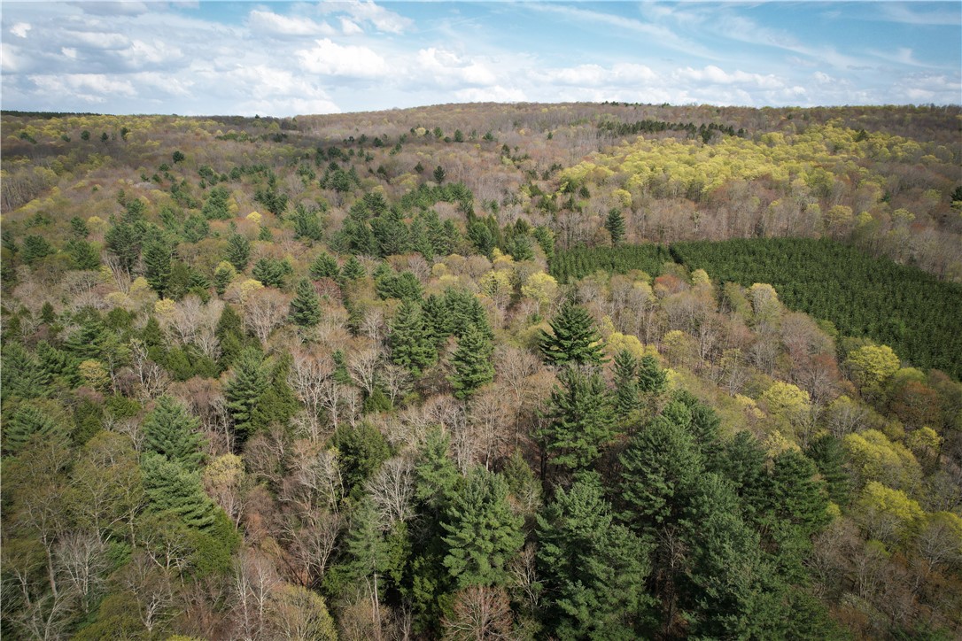 West Creek Road Richford, NY 13835 - Photo 8 of 44