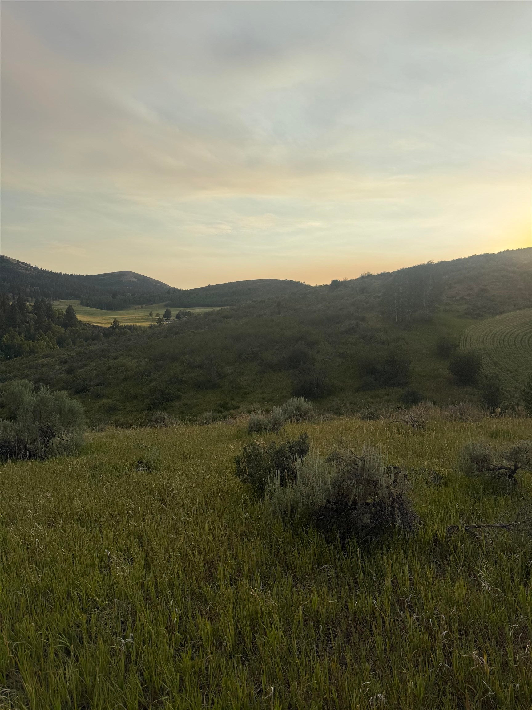 Tbd West Hoot Owl Road Inkom, ID 83245 - Photo 7 of 16 Gallery Image 7