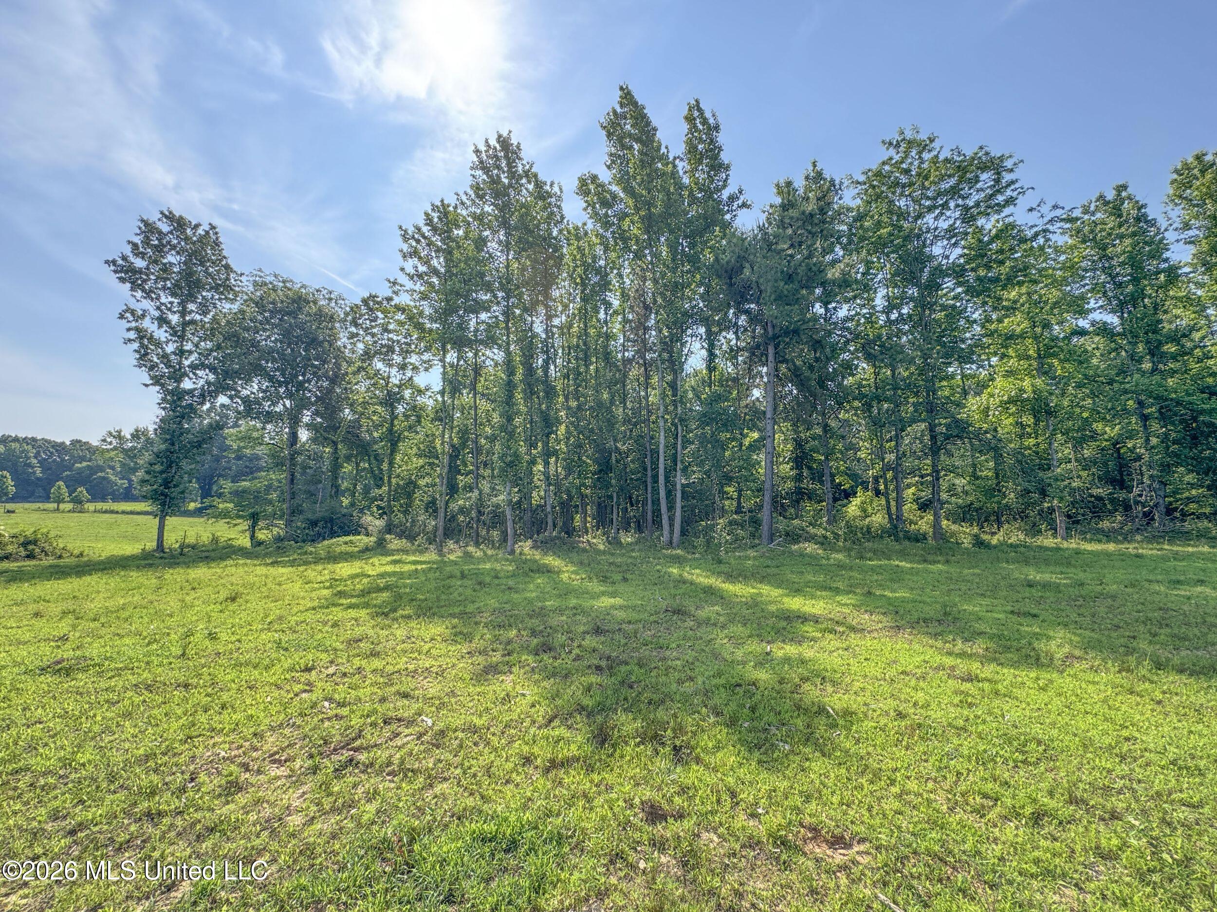 2169 Slocum Road Hernando, MS 38632 - Photo 61 of 94 8slcm18