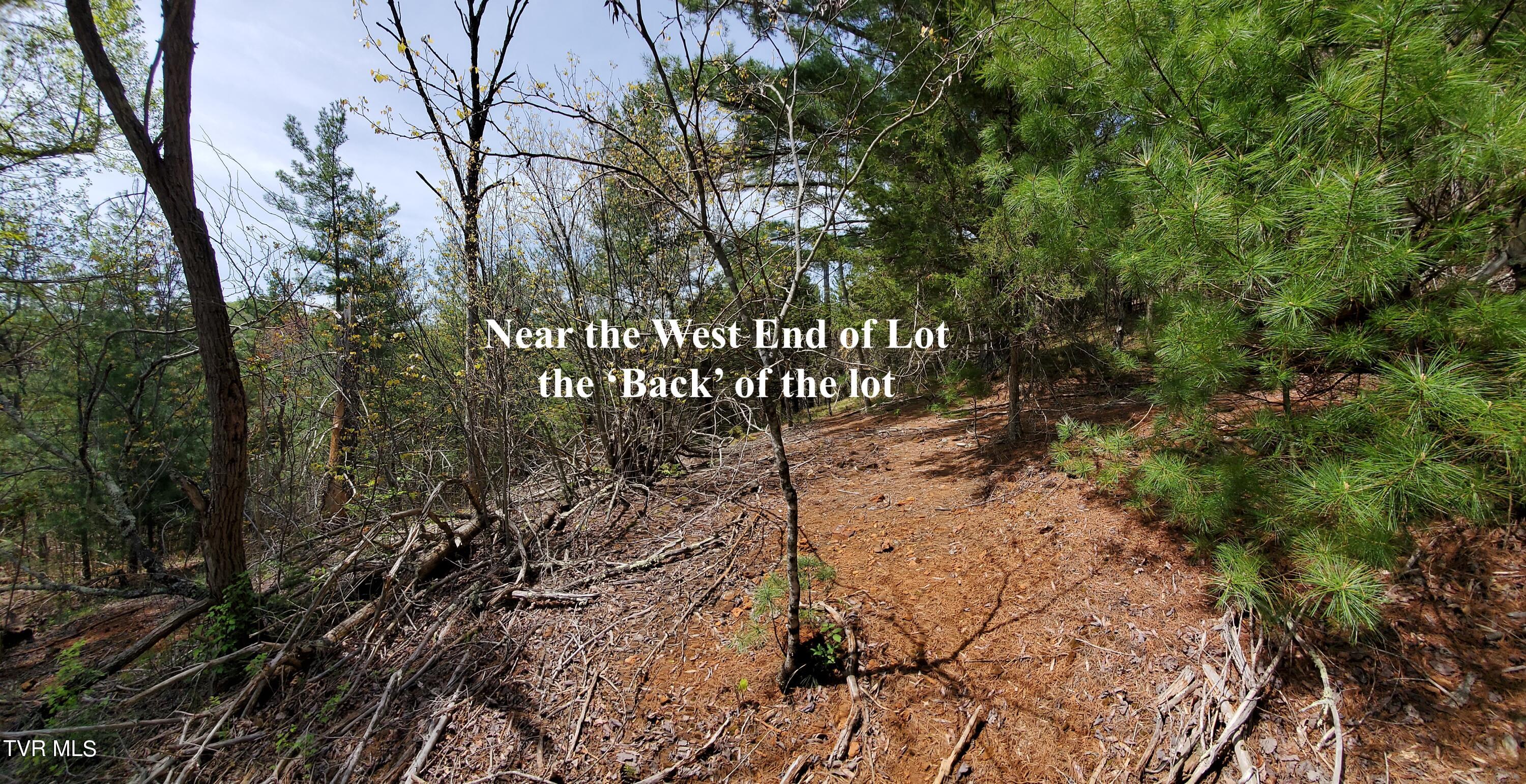 Lot 40 Cowan Town Road, Unit 40 Butler, TN 37640 - Photo 47 of 117 7