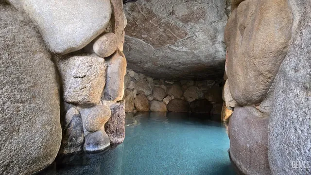 a view of backyard with wooden floor