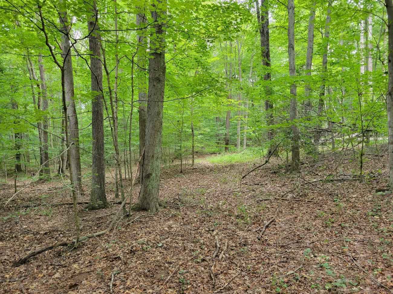 1162 Boswell Run Road Piketon, OH 45661 - Photo 3 of 20 123_1(4)