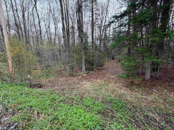 $25,000 | 0 Lebensdorf Lane, Readsboro, VT 05350