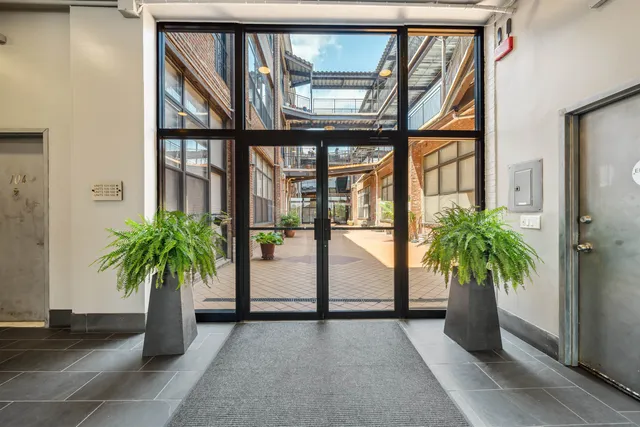 a potted plant in front of a glass door and a window