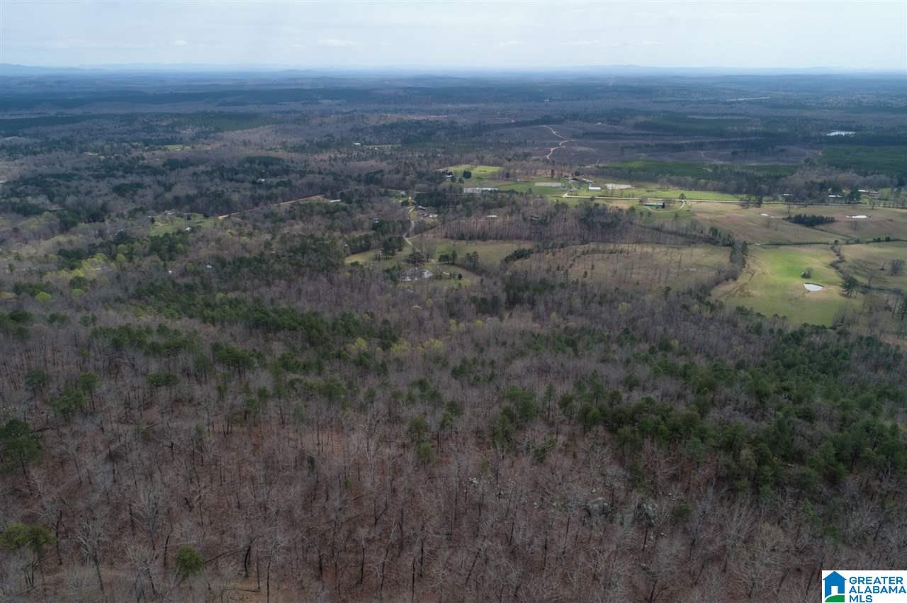 1234 High Road, Unit 1 Columbiana, AL 35051 - Photo 9 of 38